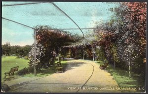 South Carolina CHARLESTON View at Hampton Gardens Divided Back