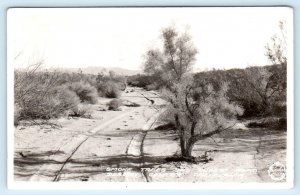 RPPC DESERT CENTER, CA  ~ SMOKE TREES 1944 Riverside County Frasher Postcard