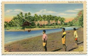 People at Sigatoka River Fiji linen postcard