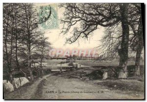 Old Postcard Caen La Prairie Field of Racing Horses Equestrian