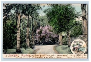 1908 Bungalow Palm Trees Aloha Nui Honolulu Hawaii HI Posted Antique Postcard