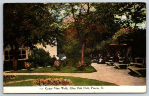 Peoria Illinois~Grape Vine Walk Scene @ Glen Oak Park~PM 1909~Vintage Postcard