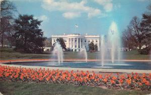 The White House and Grounds Washington D. C.