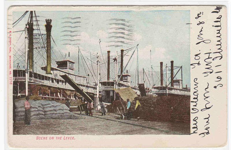 Steamer Levee New Orleans Louisiana 1908 postcard