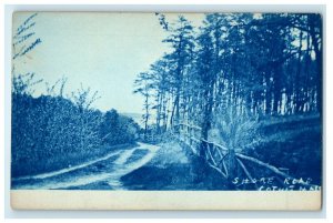 c1910's Shore Road Cyanotype Cotuit Massachusetts MA RPPC Photo Antique Postcard