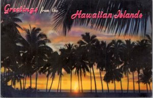 Postcard Hawaii - Greetings from the Hawaiian Islands - Sunset through the Palms