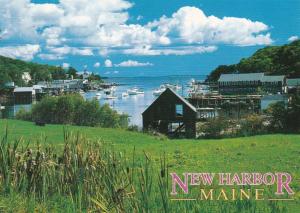 Maine New Harbor Waterfront View