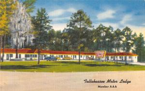 Tallahassee Florida Motor Lodge Street View Linen Antique Postcard K23297