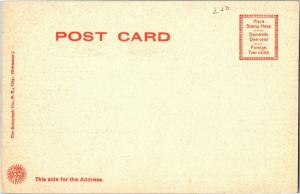 University of New York, NY City Undivided Back Vintage Postcard Y11