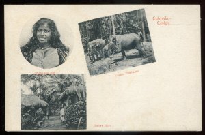 dc2032 - CEYLON/ Sri Lanka Colombo Postcard 1910s Native Huts Woman & Elephants