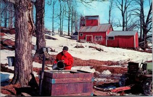 Vtg Maple Sugar Time In New England Chrome Postcard