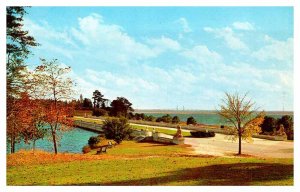 Postcard DAM SCENE Newport News Virginia VA AS1730