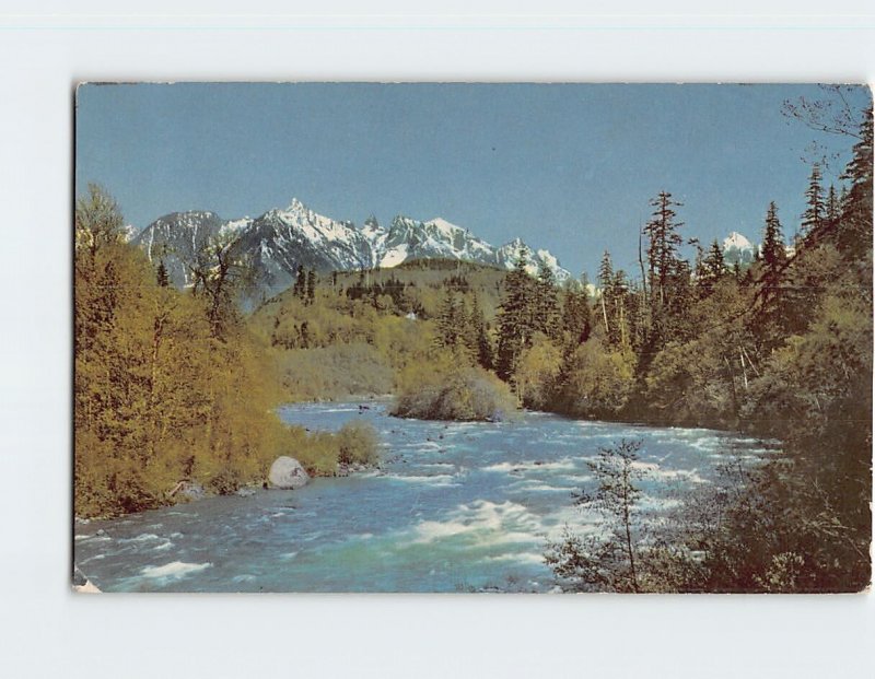 Postcard Skykomish River, Washington