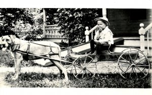 VT - Dog Cart Express Wagon circa 1920  (Reproduction)