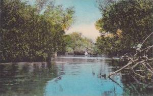 Maine Monmouth Cobbossee Colony Inlet To Lake Cobbossee Albertype