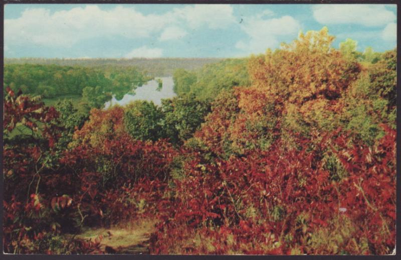 Michigan Water Wonderland Postcard BIN