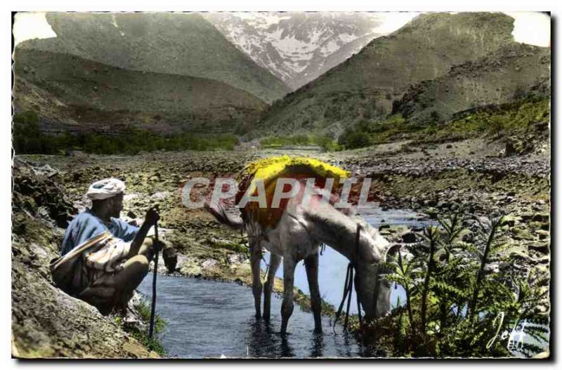 Old Postcard Morocco Picturesque Halfway