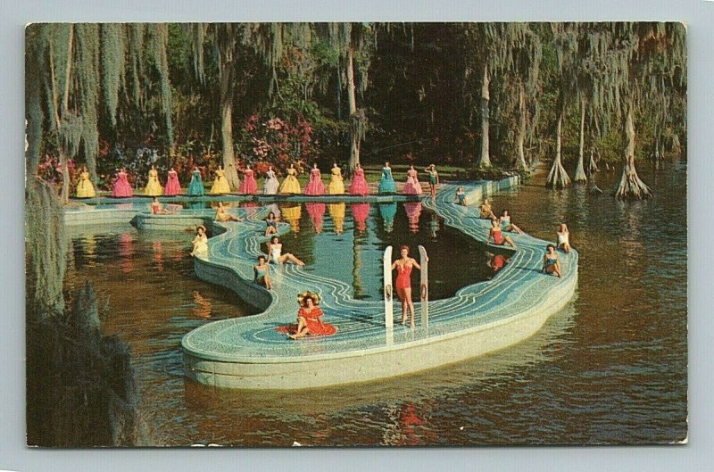 Esther Williams Swimming Pool Beautiful Women Pinup Miami Florida FL Postcard 