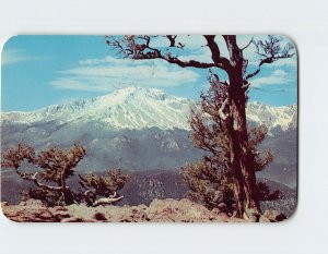 Postcard Pikes Peak, from the Rampart Range Road, Colorado