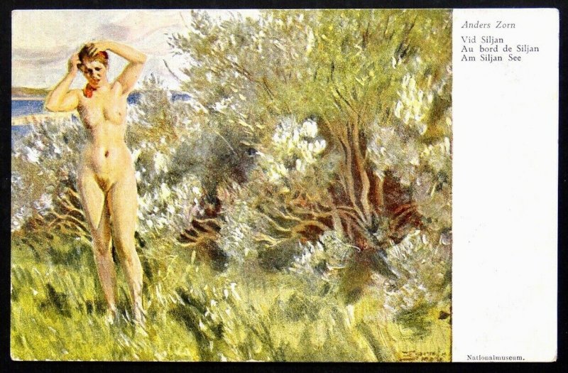 140507 Anders ZORN Naked Woman Bathing Nude Female Art VINTAGE Sweden pc c.1910