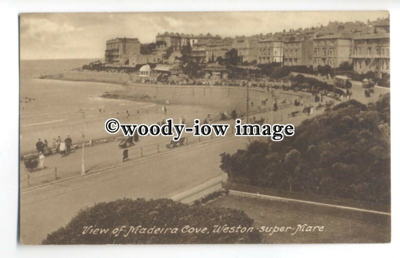 tq0492 - Somerset - The Esplanade Madeira Cove, at Weston-super-Mare - Postcard