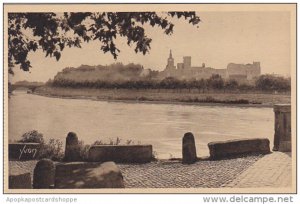 France Avignon Le Rhone et le Chateau des Papes