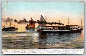 Sailboats in Chicago Harbor   Illinois    Postcard  1907