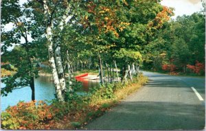 Postcard Scenic 1955 Vacationland - road through woods boats on lakeshore