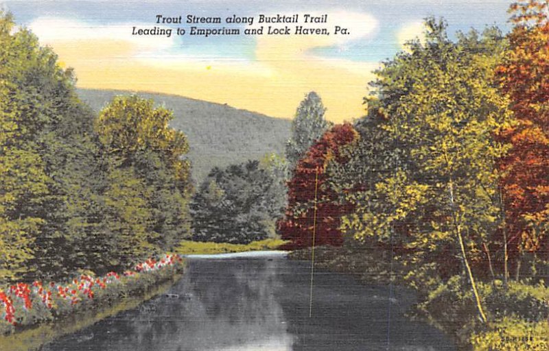 Trout Stream along Bucktail Trail Lock Haven, Pennsylvania PA  