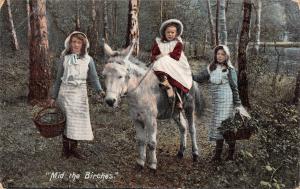 BR102591 girl riding donkey mid the birches children enfant