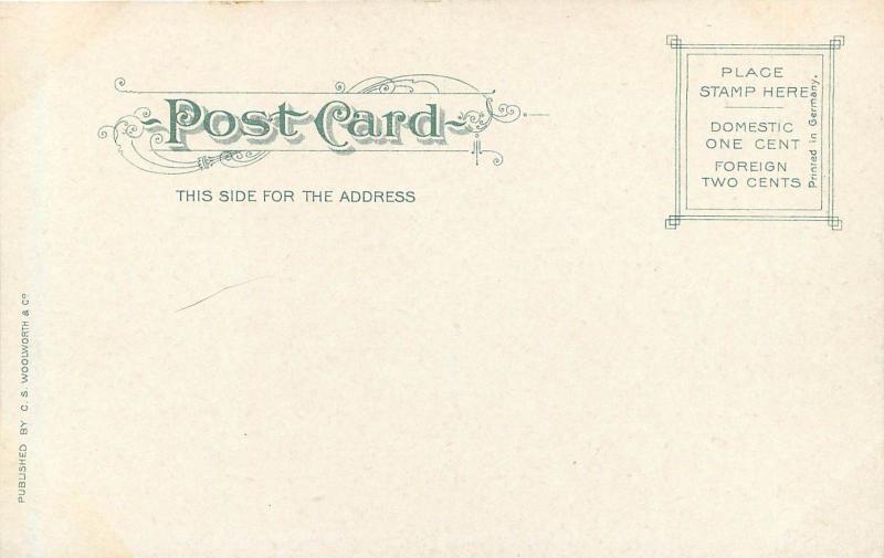 c1905 Chromograph Postcard; Trolleys, East Water Street, Elmira NY Chemung Co.