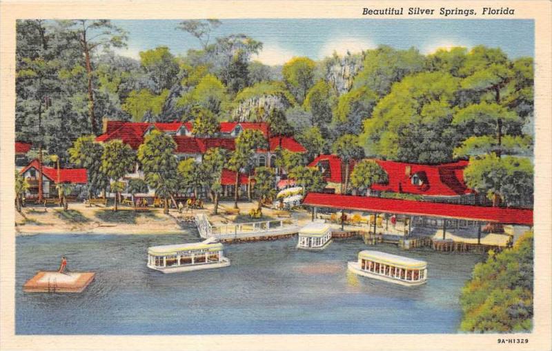 Florida  Silver Springs   Glass Bottom Boats