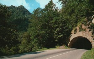Vintage Postcard The Lower Tunnel Transmountain Highway US Great Smoky Mt. TN