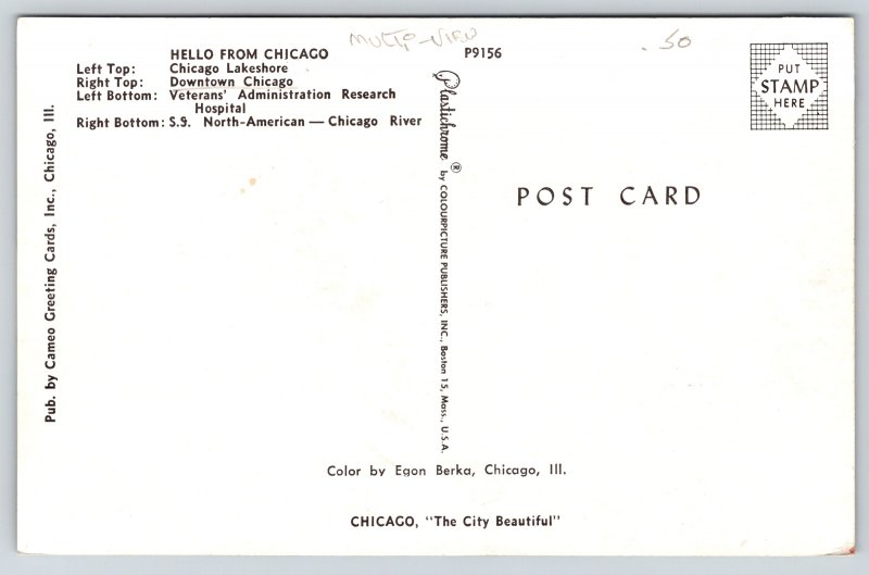State Banners~Hello From Chicago~Lakeshore & River & Downtown Scenes~Postcard