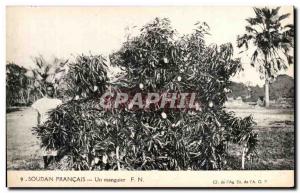 Postcard Old French Sudan a mango tree