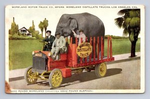 MORELAND MOTOR TRUCK CO ELEPHANT LOS ANGELES CALIFORNIA AD POSTCARD (c.1920s)