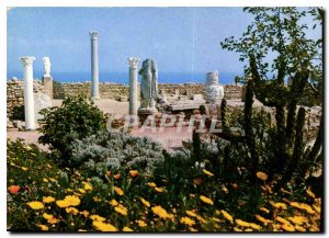 Postcard Modern Carthage Tunisia Antiquarium