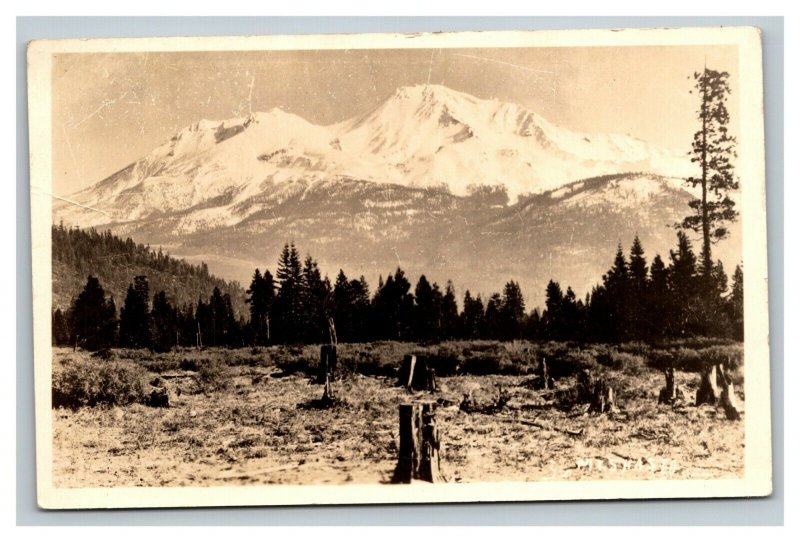 Vintage Early 1900's RPPC Landscape Postcard Mt. Shasta California POSTED