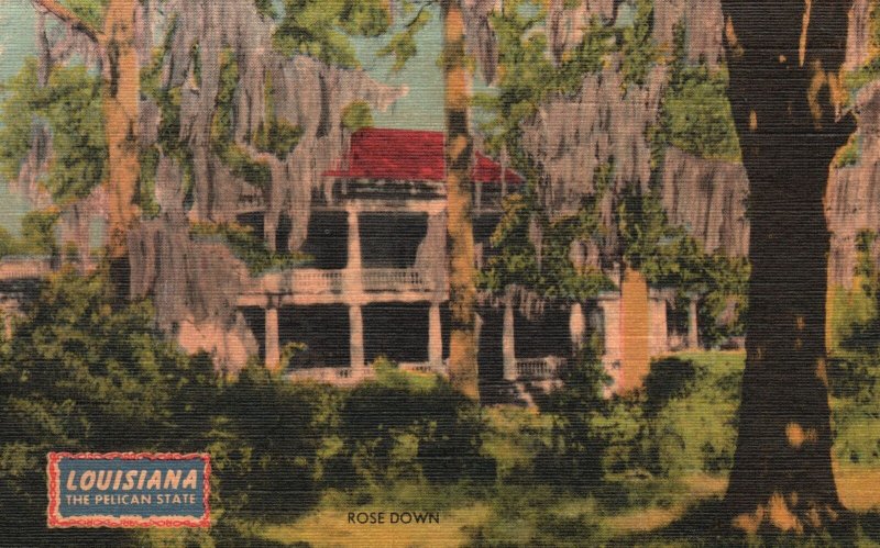 Rose Down State Route 35 Northeast Saint Francisville Louisiana Vintage Postcard
