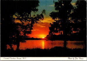 South Carolina Coast At Sunset