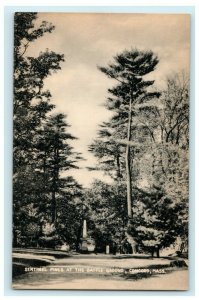 c1940's Sentinel Pines Battle Group Concord Massachusetts MA RPPC Photo Postcard 