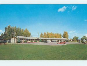 Unused Pre-1980 OLD CARS & DUDE CORRAL MOTEL Montrose Colorado CO M0277