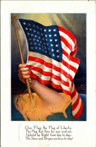 Patriotic Postcard Arm from US Map Holding Waving American Flag 1919 M59