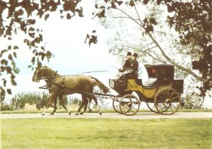 Horses. A Swedish postal coach Nice modern Swedish  photo postcard