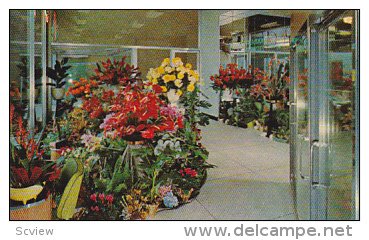 [BC] ALOHA House of Flowers Ltd. , VANCOUVER , B.C. , Canada 1950s