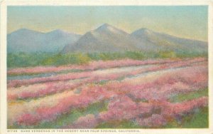 California Palm Springs Sand Verbenas Detroit Publishing C-1910 Postcard 22-2689