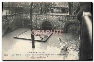 Old Postcard Bear Crue of the Seine Paris The bear pit flooded with water in ...