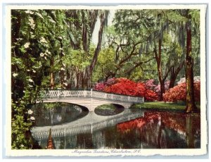 Magnolia Gardens Charleston SC, Most Beautiful Garden Bridge Vintage Postcard