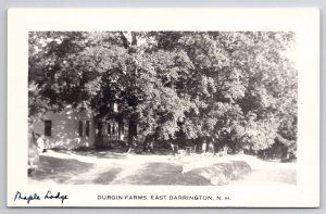 East Barrington NH Durgin Farms Maple Lodge RPPC New Hampshire Postcard B31