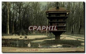 Old Postcard Dove Pigeon Lyon Park Tete d & # 39Or The pigeon